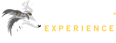 Predator Experience