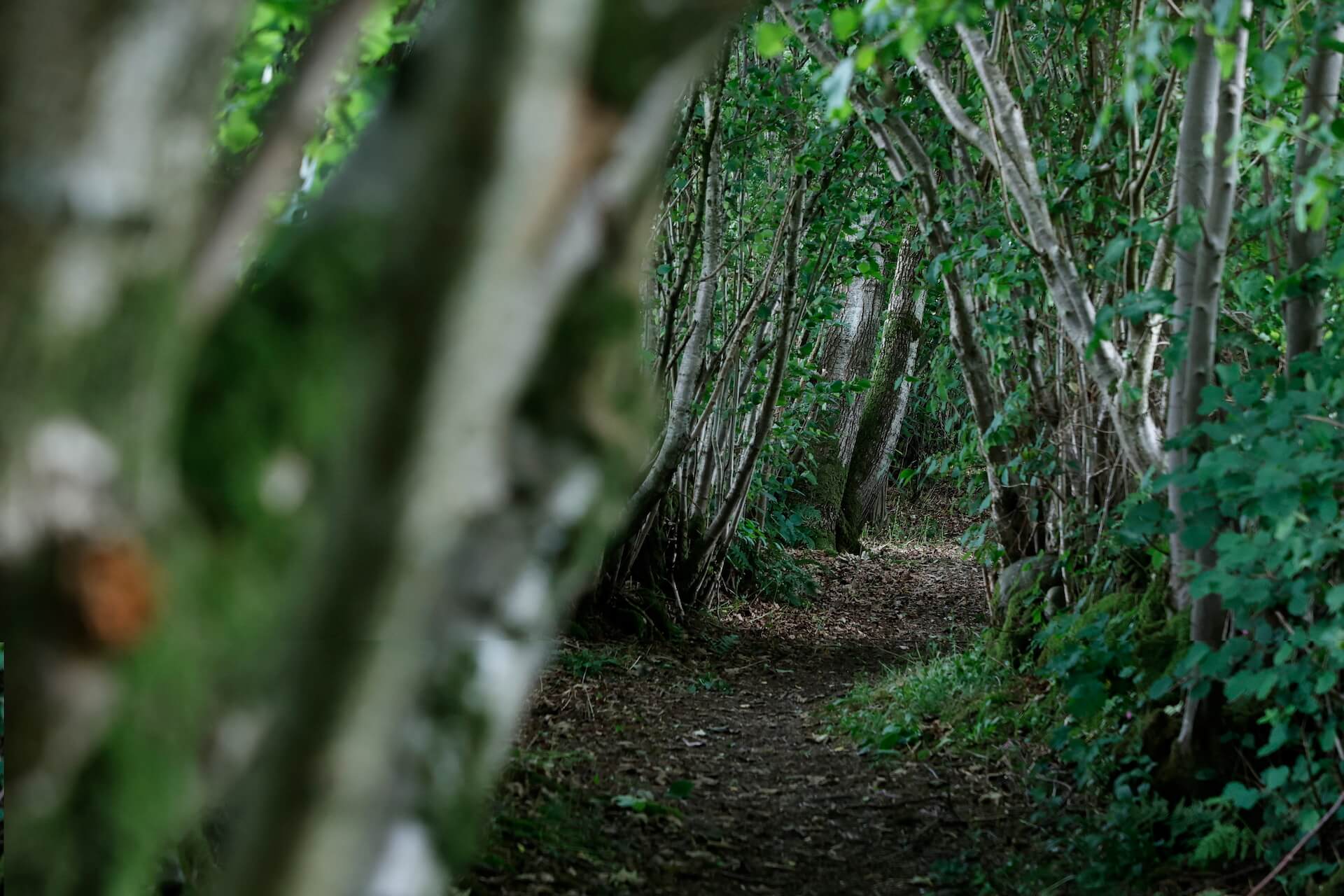 Building a legacy for conservation