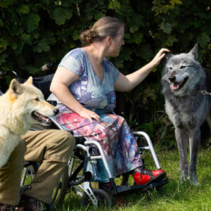 Static Wolf Encounter Experience