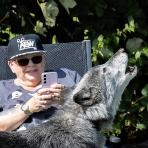 Static Wolf Encounter Experience